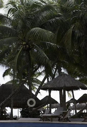 Hotel Las Palapas By Mahekal Playa del Carmen