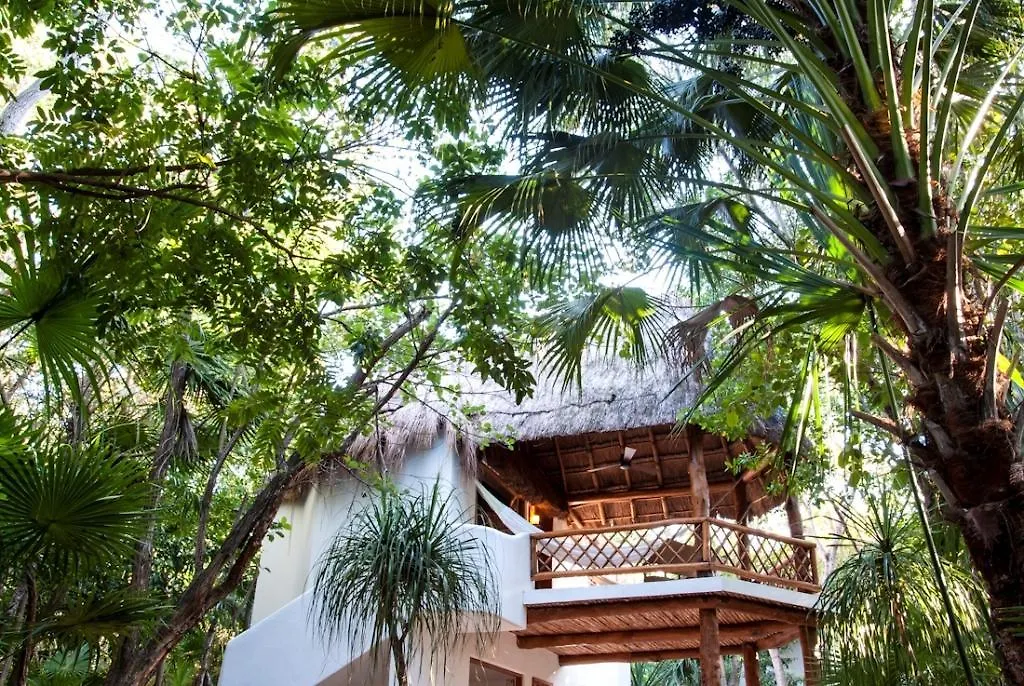 Hotel Las Palapas By Mahekal Playa del Carmen