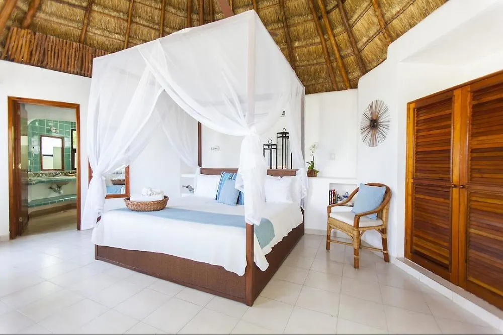 Hotel Las Palapas By Mahekal プレヤデルカーメン メキシコ
