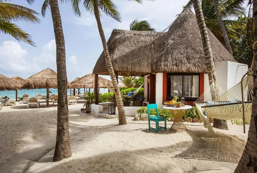Hotel Las Palapas By Mahekal プレヤデルカーメン