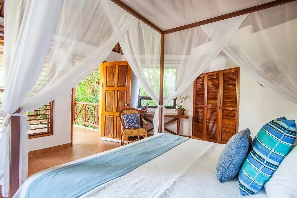 Hotel Las Palapas By Mahekal プレヤデルカーメン