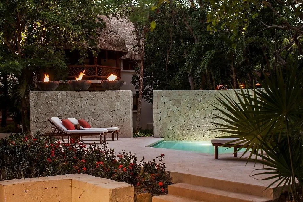 Hotel Las Palapas By Mahekal プレヤデルカーメン