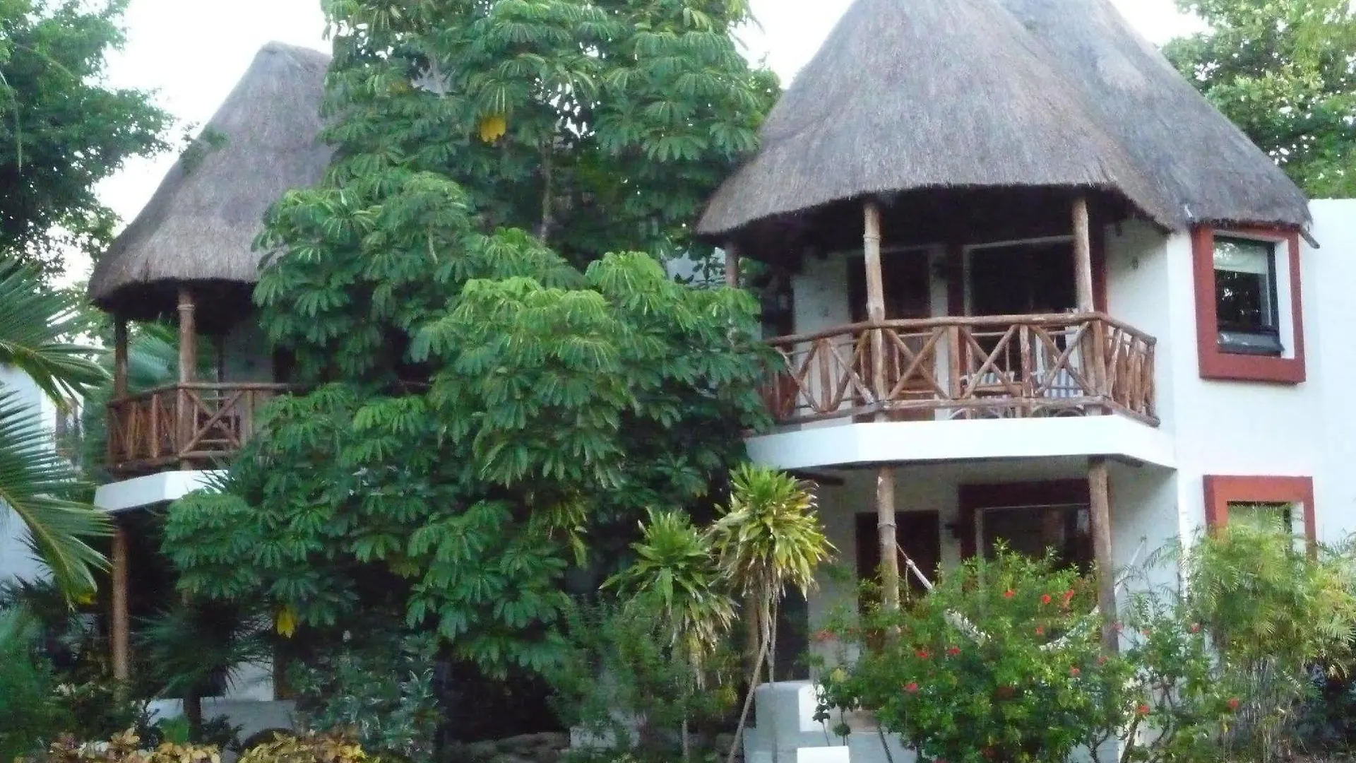 Hotel Las Palapas By Mahekal プレヤデルカーメン